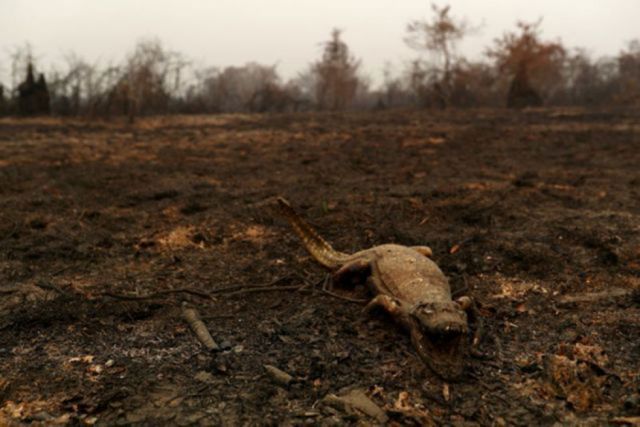 Jair Bolsonaro desestima los incendios en Amazonas