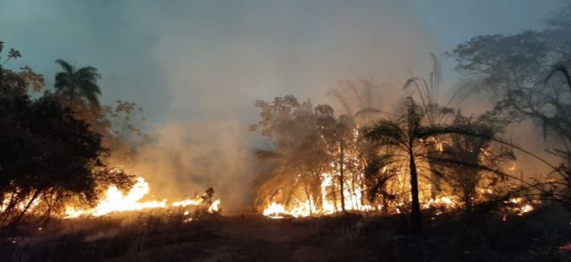 Gobernación de Santa Cruz cuantifica 23 incendios forestales; el más crítico en Copaibo