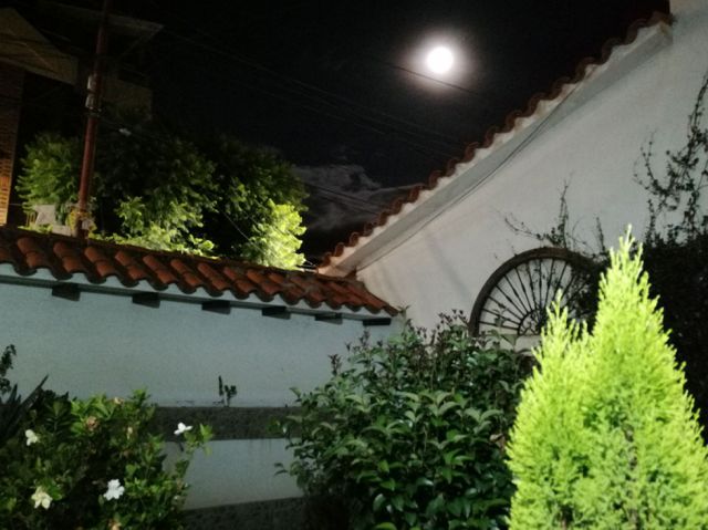 La luna llena en un jardín chapaco 