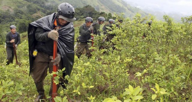 Investigan causas de la intoxicación de 63 personas en Caranavi