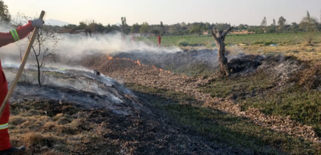 Incendio en Tolomosita consumió una hectárea