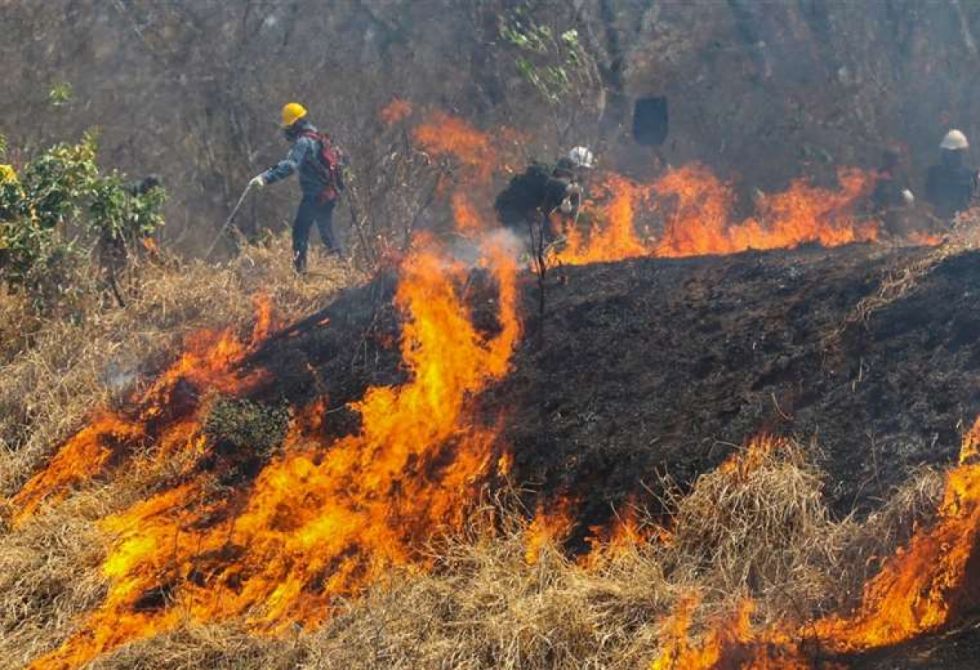 Bolivia registra 26 incendios forestales, 17 en Santa Cruz