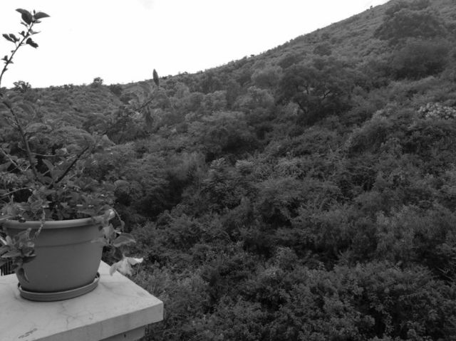 La Vittoria