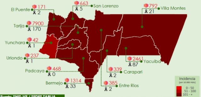 Tarija alcanzó un total de 14.772 casos de Covid-19