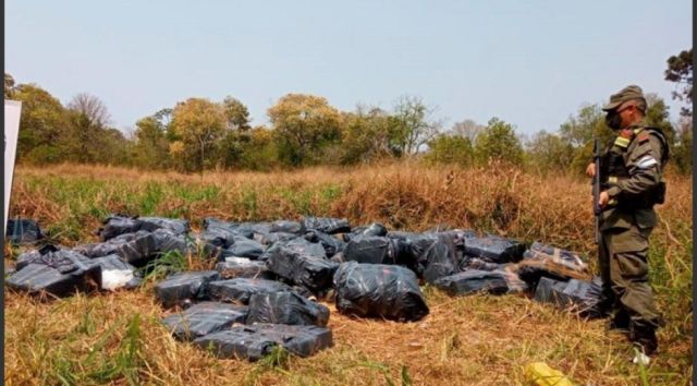 Hallan casi 3  toneladas de  marihuana  ocultas