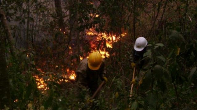 Incendio ingresa a la serranía Aguaragüe de Tarija