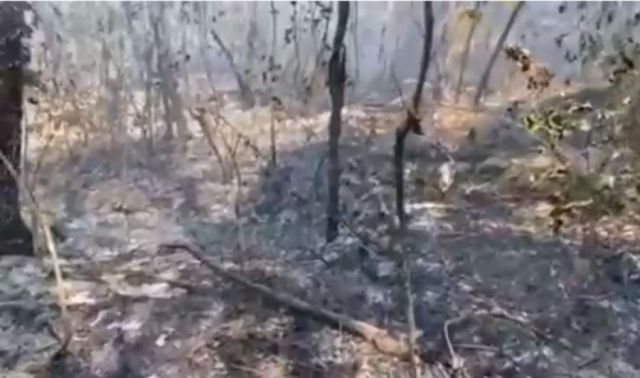 Incendio en el Aguaragüe preocupa a Yacuiba, Gobierno pide refuerzo de personal de apoyo