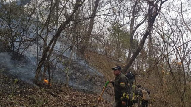 Arias afirma que la región del Chaco es la más afectada por los incendios