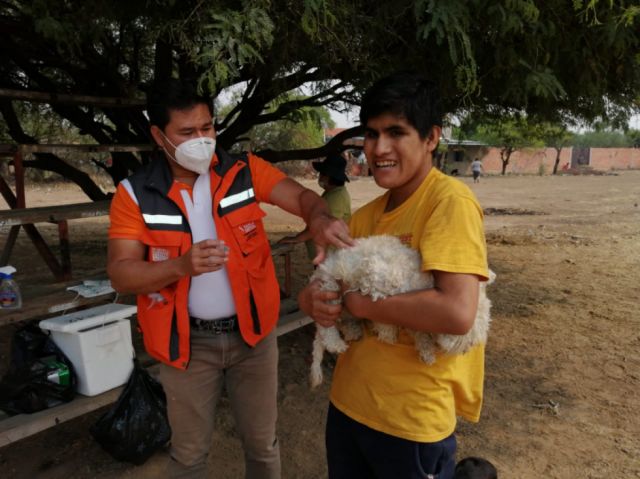 La campaña antirrábica en Cercado estima 70.000 dosis 