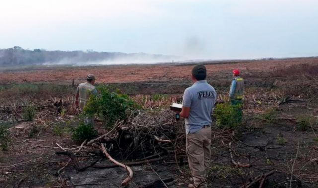 Ministerio de Defensa reporta 22 incendios activos en el país, la mayoría en Santa Cruz