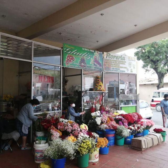 Todos Santos, la crisis no aumentó costo de las flores