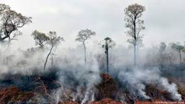 Bolivia suma 1.8 millones de hectáreas quemadas por incendios