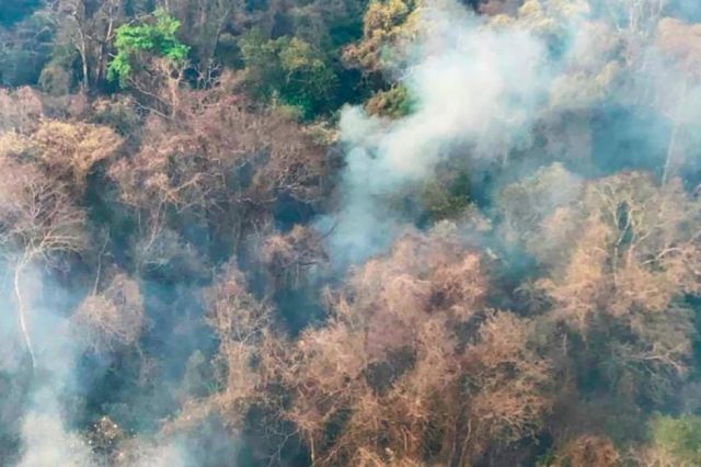 Incendios afectan a varias provincias argentinas