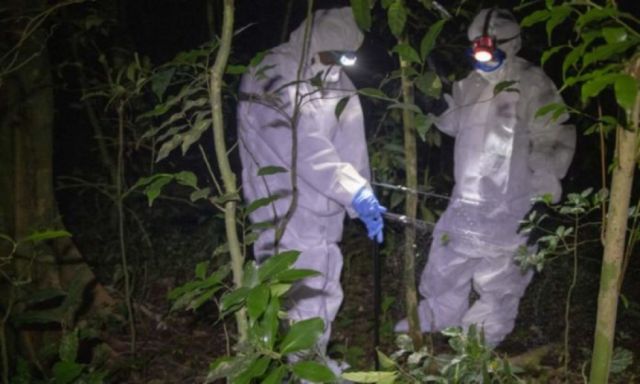 Unos 850 mil virus desconocidos podrían provocar pandemias si no se deja de explotar a la naturaleza