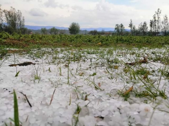 Campesinos exigen informe de daños de la granizada en Tarija