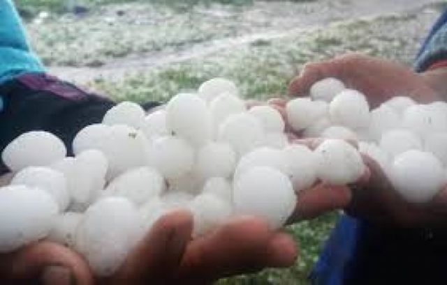 Granizada en municipios de Potosí afecta a 120 familias además de cultivos de papa y frutas