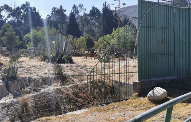 Barral plantea cerrar el zoológico de Mallasa