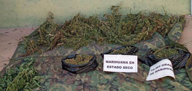 Secuestran 8 toneladas de marihuana  creepy 