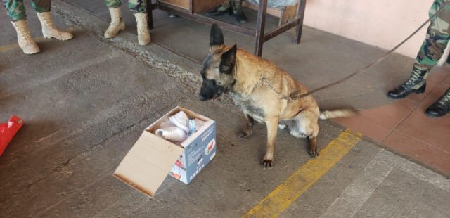 Can antidroga halla droga en el aeropuerto de Cochabamba
