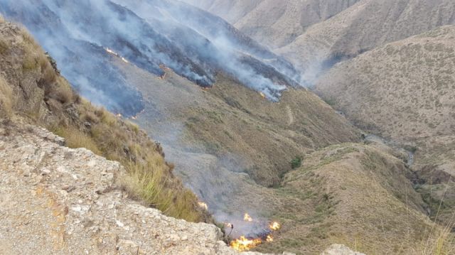Fuertes vientos descontrolan incendio en Choroma - Tarija (Fotos)