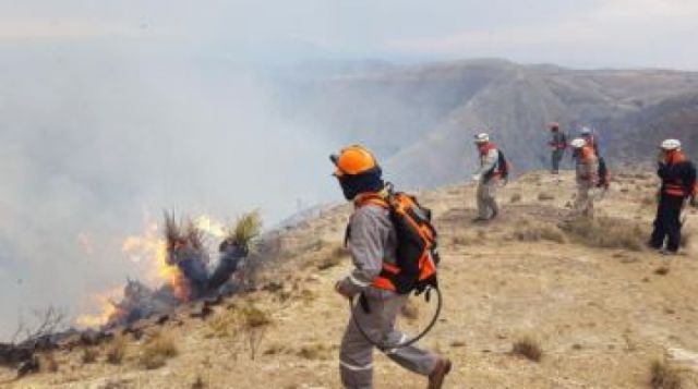 De 25 a 30 hectáreas quemadas en incendio Choroma-Tarija