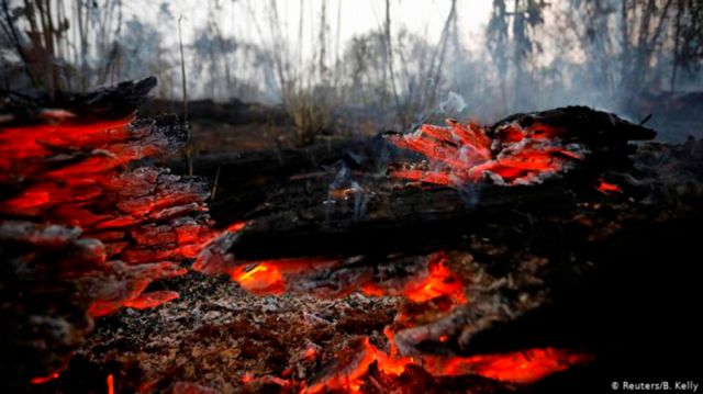 Deforestación supera el millón de  hectáreas