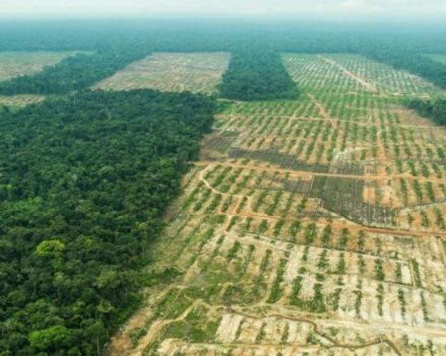 Beni: el avance de un modelo de desarrollo peligroso