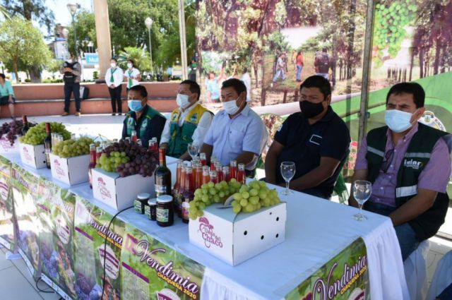 Vendimia Chaqueña 2020 reunirá a 60 productores de vid