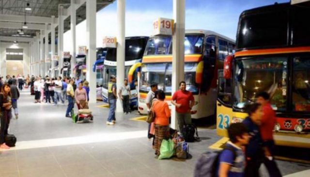 Transporte departamental de Tarija pide ampliar capacidad para trasladar pasajeros 