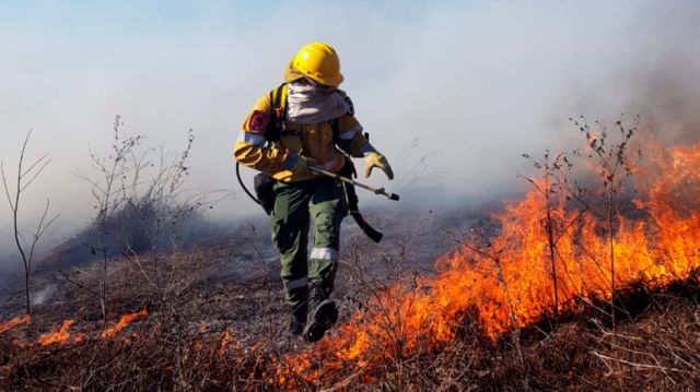 Argentina perdió más de un millón de ha por incendios