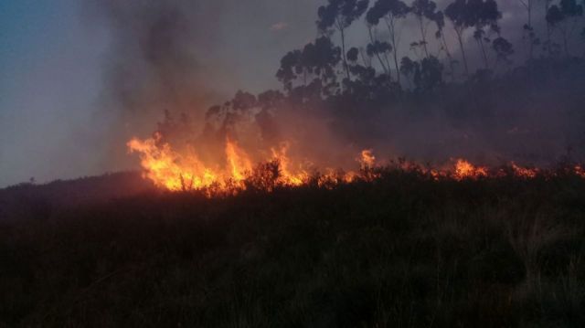 Cochabamba registró este año 70 incendios forestales