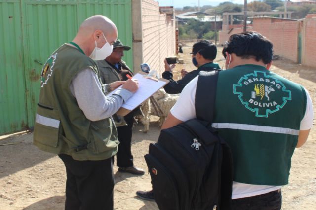 En Tarija el Senasag detecta cuatro mataderos clandestinos