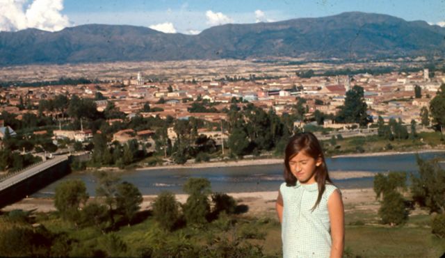 Puente San Martín, techos de Tarija