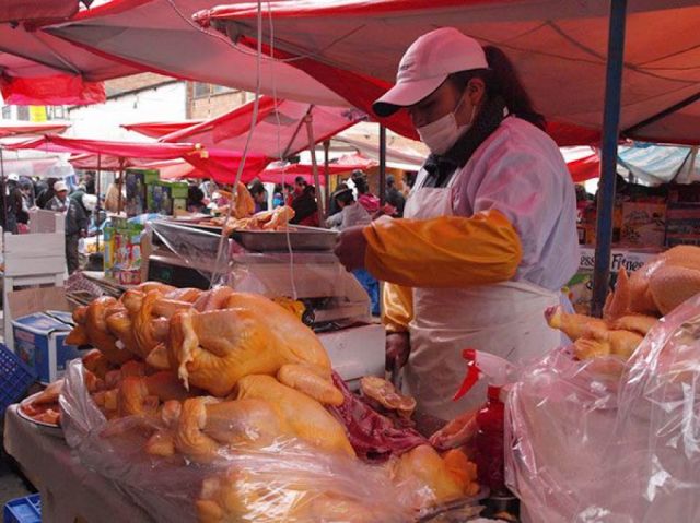 Caída de las ventas y precios  aflige a los avícolas de Tarija