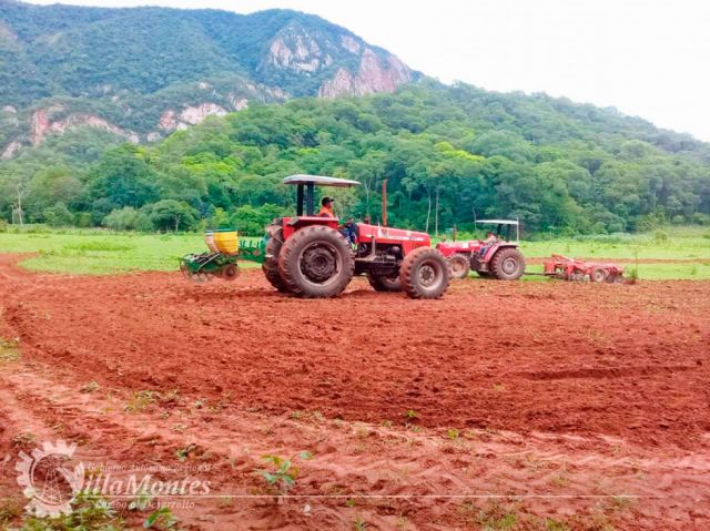 Campaña Agrícola llegará a 15 comunidades guaraníes