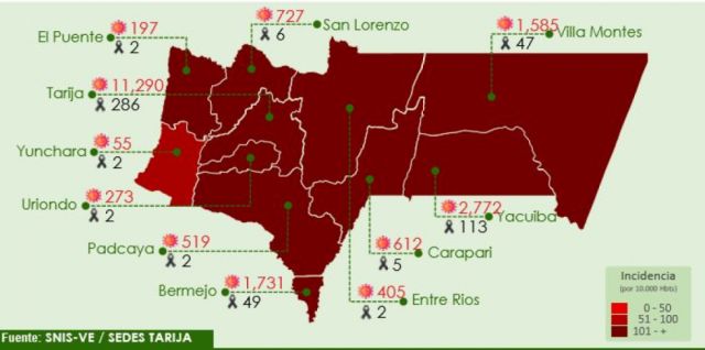 Tarija registra 82 nuevos casos de Covid-19 en 9 municipios 