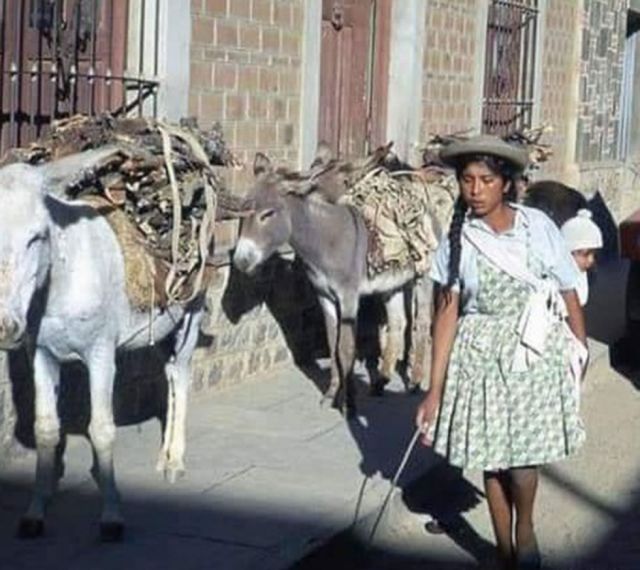 Los tambos y el tiempo de las  mulas en la antigua Tarija