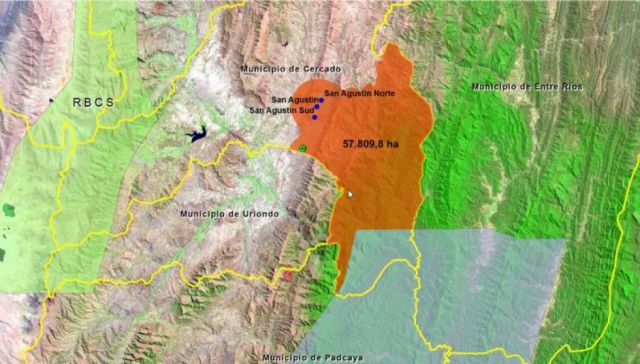 Tarija impulsa ley municipal para declarar área protegida del cóndor andino