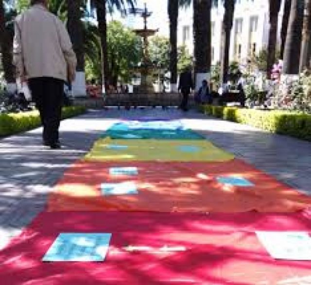 Torres dice que apoyará a comunidad LGTBI en Tarija