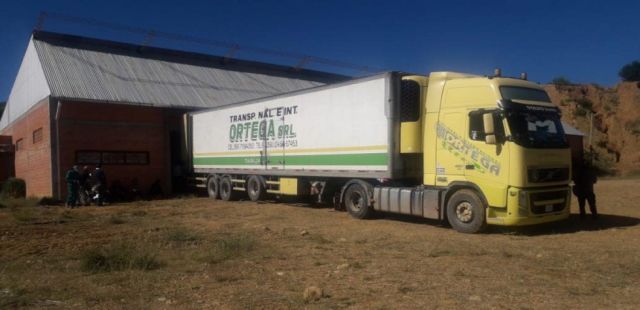 Uva tarijeña que será enviada a Paraguay