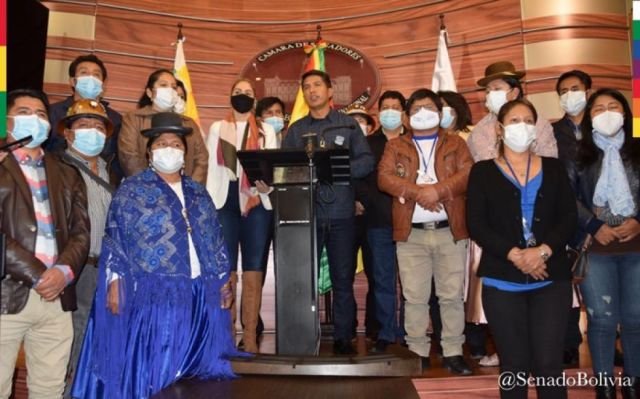 Senado rechaza intervención e injerencia de la OEA en asuntos internos de Bolivia; exige respeto a su soberanía