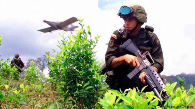 Rechazan planes de fumigación aérea con glifosato