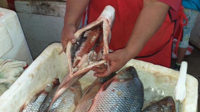 La gastronomía se impuso en un Viernes Santo diferente en Tarija