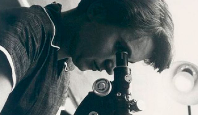 Mujeres en la ciencia: relegadas por la desigualdad de género