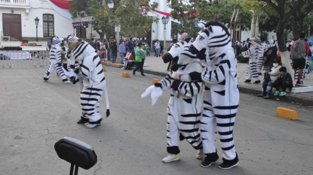 Las cebras estuvieron presentes en los actos por los 204 años de la Batalla de la Tablada.
