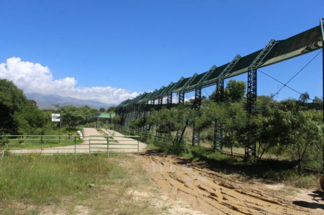 Vista de las jaulas de los felinos