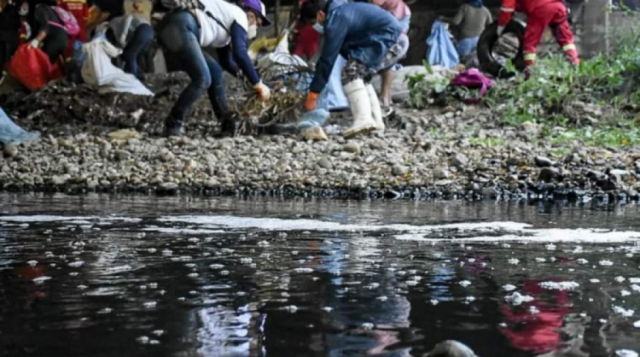 Gran participación en la limpieza del río Rocha