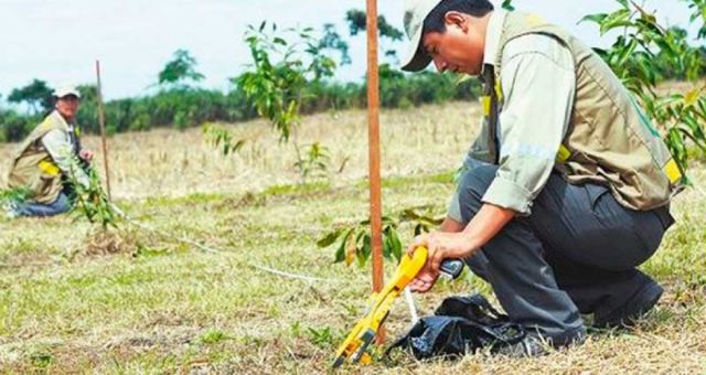 Bolivia: 87% de las tierras están tituladas y saneadas