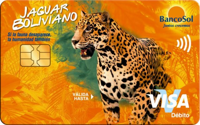 Tarjetas del BancoSol llaman a cuidar el medio ambiente
