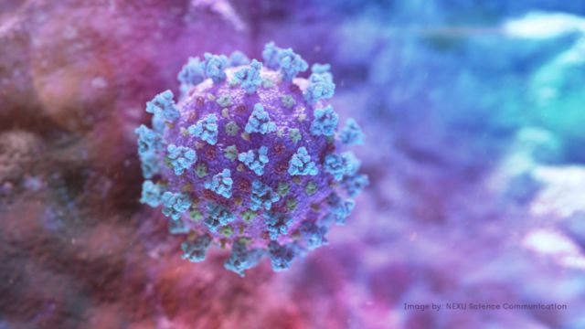 Con 183 nuevos casos, Tarija suma 26.594 infectados con coronavirus